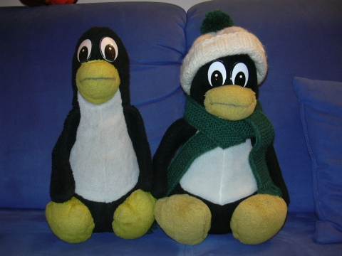 Pinguin und Tux