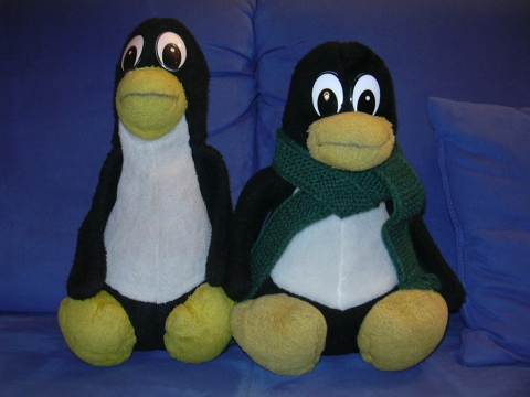 Pinguin und Tux
